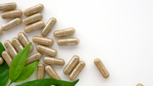 capsules d'origan sauvage