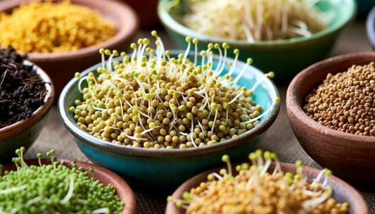 Esséniens et alimentation biogénique  Tal Schaller et Edmond Bordeaux Székely